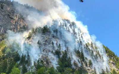 Waldbrandschutzverordnung