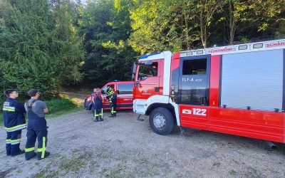Brandverdacht – gemeldeter Waldbrand entpuppte sich als Fehlalarm