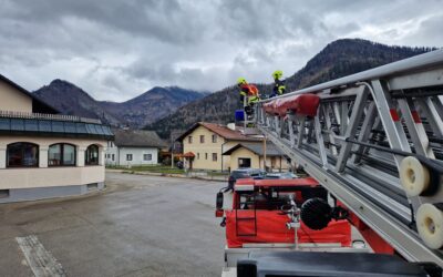 Tierrettung mittels Drehleiter
