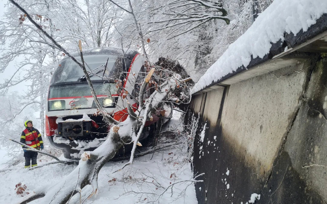 Baum stürzt auf Zuggarnitur