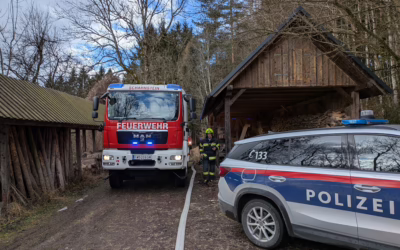 Fettbrand rasch gelöscht