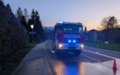 Heckenbrand in der Welserstraße rasch gelöscht 